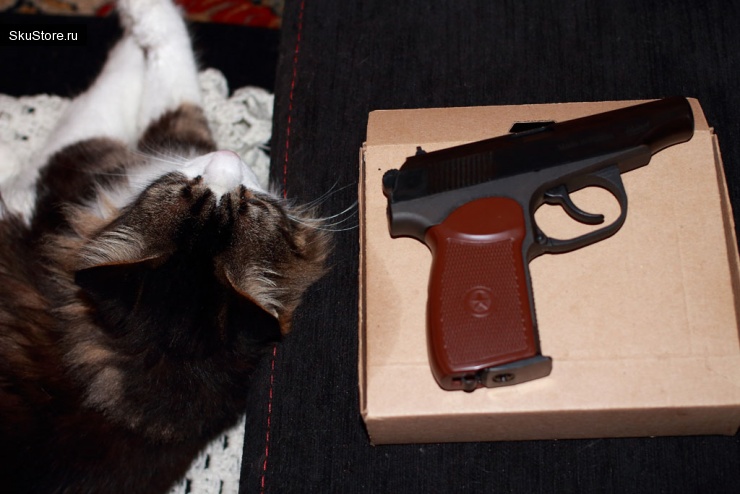 Пневматический пистолет и кот