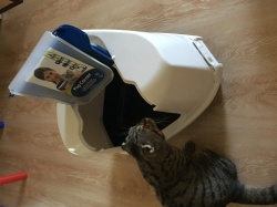Обзор на Закрытый угловой туалет для кошек Moderna Flip Corner