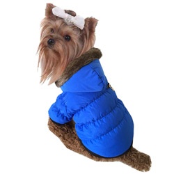 Зимняя куртка для собаки - обновляем гардероб любимого собакена