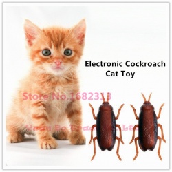 Электронный таракан для нашего любимого котика